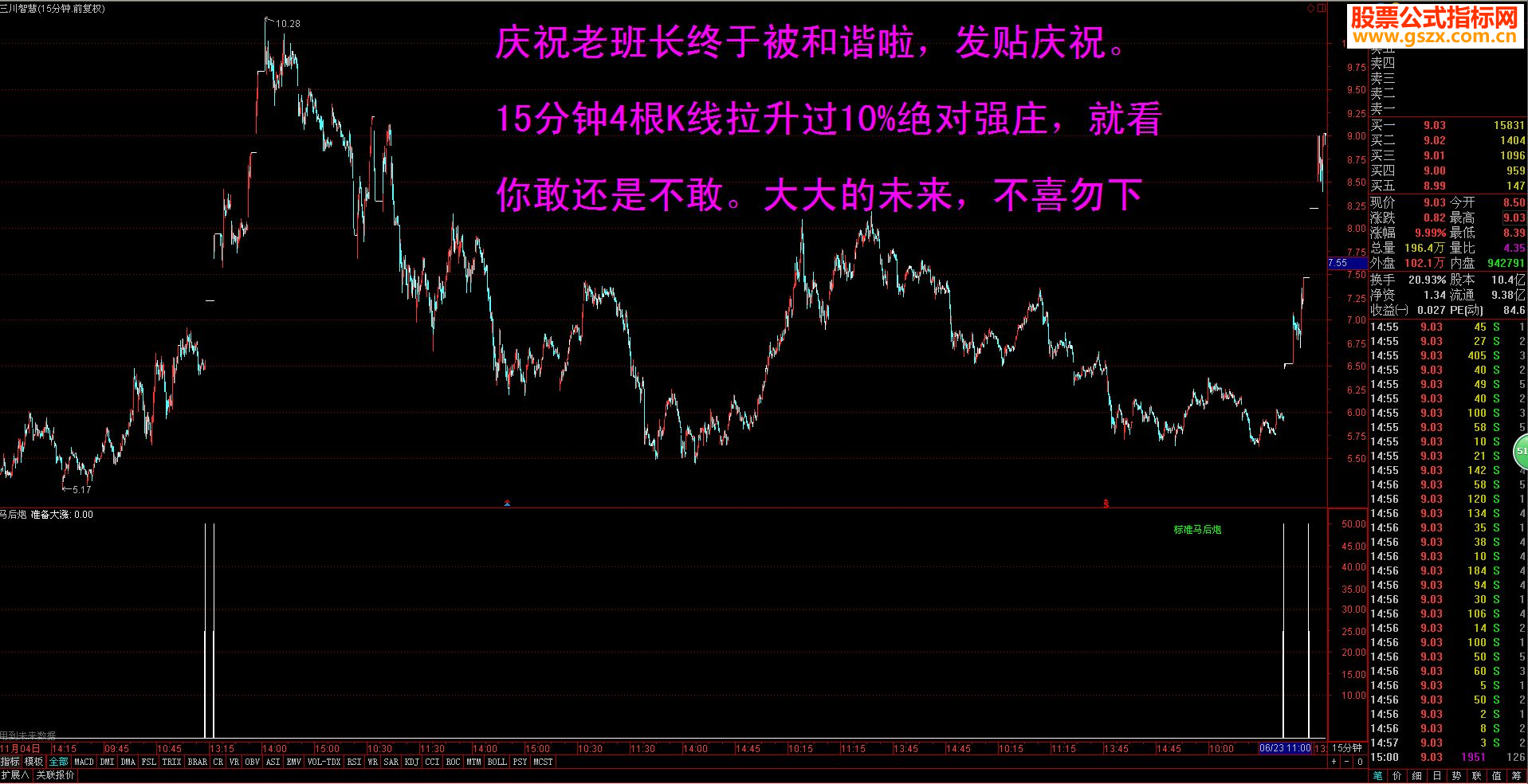 通达信马后炮 指标幅图贴图