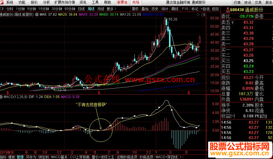 ͨMACD“ȥ”ѡɼ 