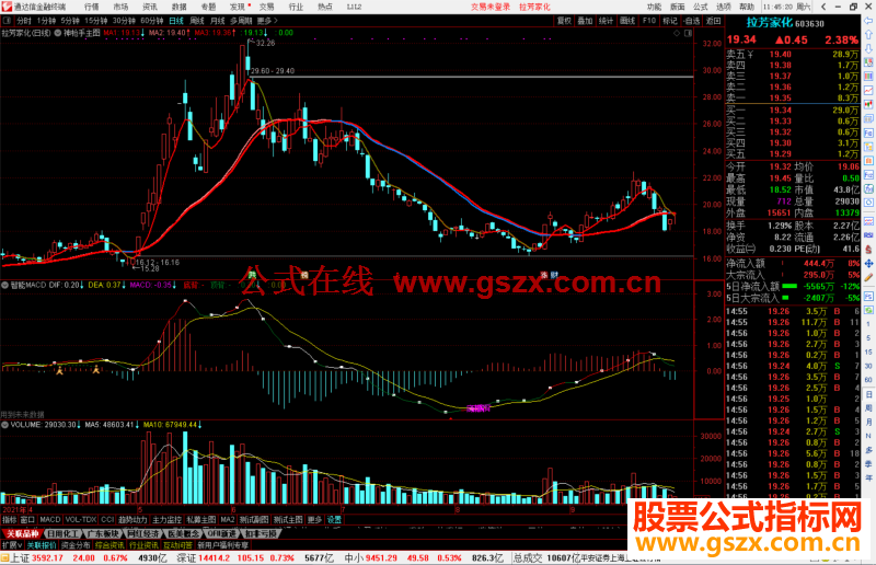 通达信智能MACD公式副图源码